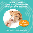Load image into Gallery viewer, NOOTIE DOG DERMATOLOGY SOLUTIONS ANTIMICROBIAL DENTAL GEL 4OZ
