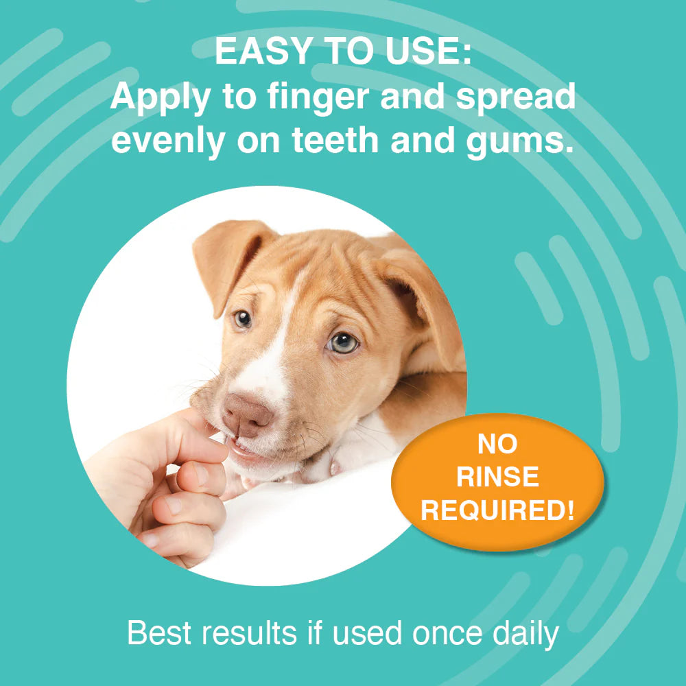 NOOTIE DOG DERMATOLOGY SOLUTIONS ANTIMICROBIAL DENTAL GEL 4OZ