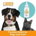 Load image into Gallery viewer, NOOTIE DOG DERMATOLOGY SOLUTIONS MEDICATED EAR FLUSH 4OZ
