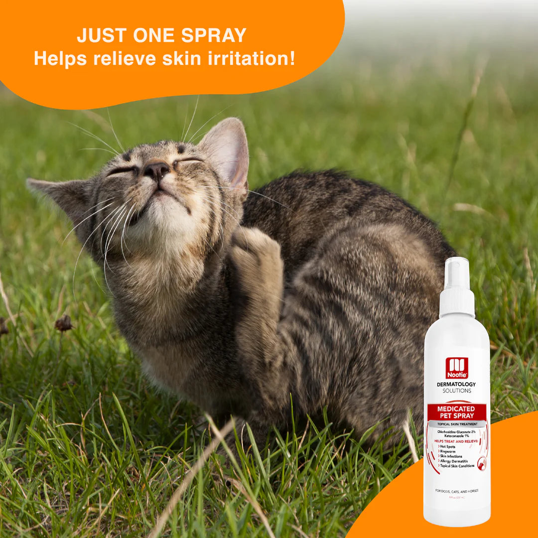 NOOTIE DOG DERMATOLOGY SOLUTIONS MEDICATED ANTIMICROBIAL SPRAY 8OZ