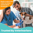 Load image into Gallery viewer, NOOTIE DOG DERMATOLOGY SOLUTIONS ANTIMICROBIAL DENTAL GEL 4OZ
