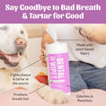 Load image into Gallery viewer, SKOUT'S HONOR DOG DENTAL WIPES 50CT
