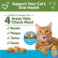 Load image into Gallery viewer, WELLNESS WHIMZEES CAT DENTAL TREAT CHICKEN TUNA 2OZ
