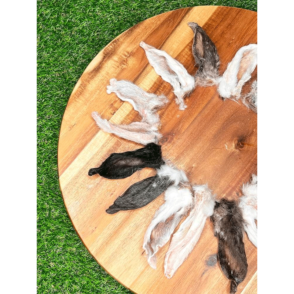 Rabbit Ears - with fur