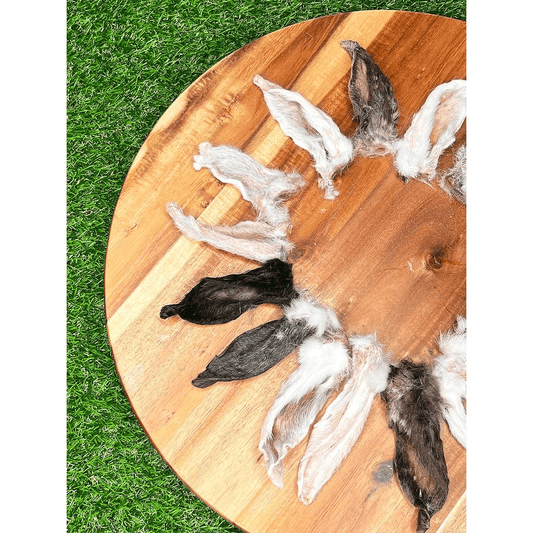 Rabbit Ears - with fur