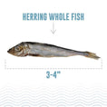 Load image into Gallery viewer, Icelandic+ Herring Whole Fish
