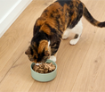 Load image into Gallery viewer, Salmon & Cod Topper for Cats - Open Farm
