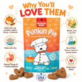 Load image into Gallery viewer, WONDER BARK Everydays Punkin Pie Biscuits 6oz
