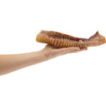 Load image into Gallery viewer, Beef Trachea - long
