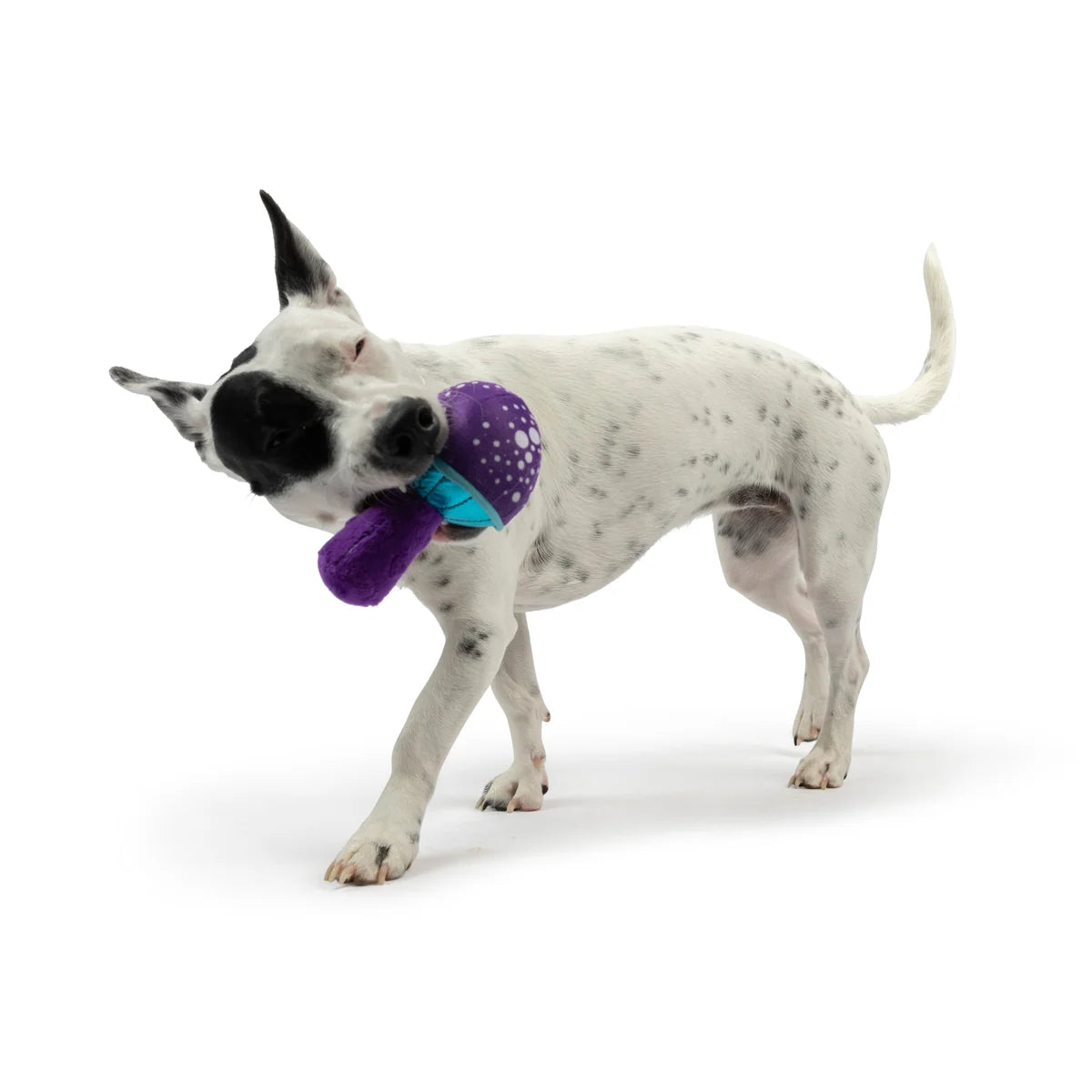 UXLEY & KENT Dog Tiny Tuff Mellow Mushroom