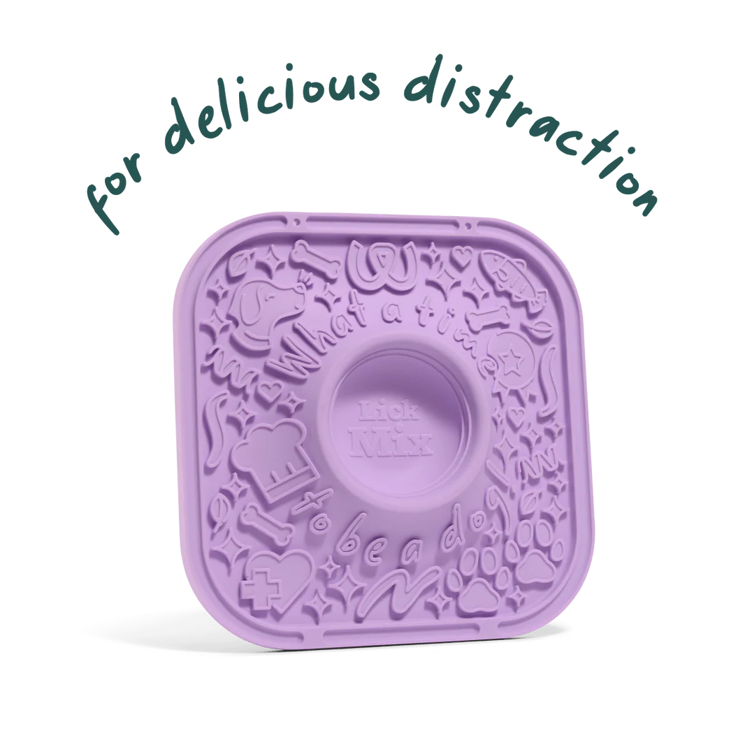Purple treat container with text 'for delicious distraction' in Damascus Virginia