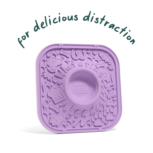 Purple treat container with text 'for delicious distraction' in Damascus Virginia