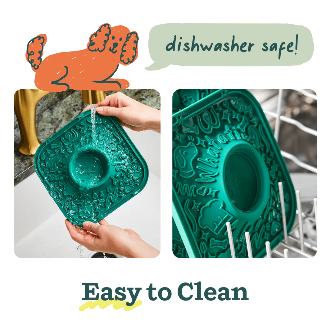 Green pet dish with text indicating it is dishwasher safe and easy to clean.