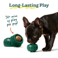 Load image into Gallery viewer, WOOF DOG CHICKEN & PEANUT BUTTER POPS LARGE 8OZ - 7 PACK
