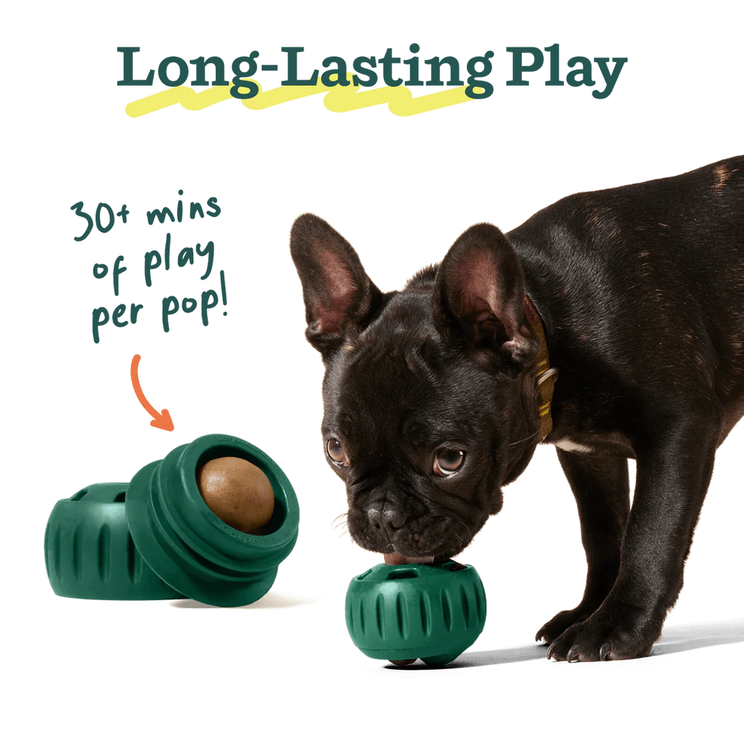 WOOF DOG CHICKEN & PEANUT BUTTER POPS LARGE 8OZ - 7 PACK