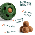 Load image into Gallery viewer, WOOF DOG ALL IN ONE WELLNESS POPS LARGE 8OZ - 7 PACK
