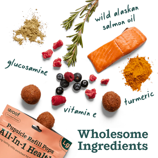 WOOF DOG ALL IN ONE WELLNESS POPS - XL 12 OZ
