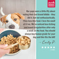 Load image into Gallery viewer, The Honest Kitchen Grain Free Beef Recipe

