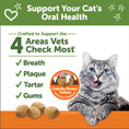Load image into Gallery viewer, WELLNESS WHIMZEES CAT DENTAL TREAT CHICKEN 2OZ
