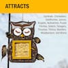 Heath Owl Suet 'n Seed Dual Bird Feeder for Suet Cakes & Sunflower Seeds