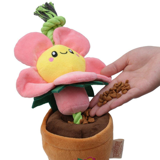 Original Territory Flower Treat & Tug Dog Toy, Pink, 19-in