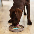 Load image into Gallery viewer, Mountain Scene 8" Silicone Therapeutic Dog Lick Bowl-Interactive Dog Feeder
