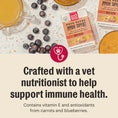 Load image into Gallery viewer, Honest Kitchen FPO Immunity Beef 5.5oz
