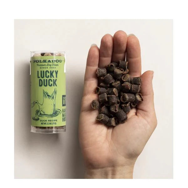 Polkadog - Lucky Duck