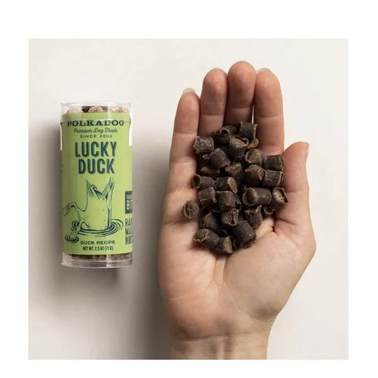 Polkadog - Lucky Duck