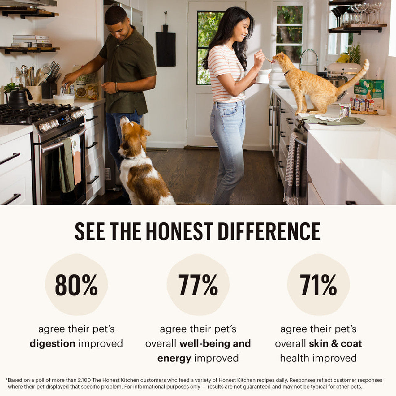 The Honest Kitchen Gourmet Grains Turkey & White Fish Recipe Dehydrated DOG Food 4 lb Box