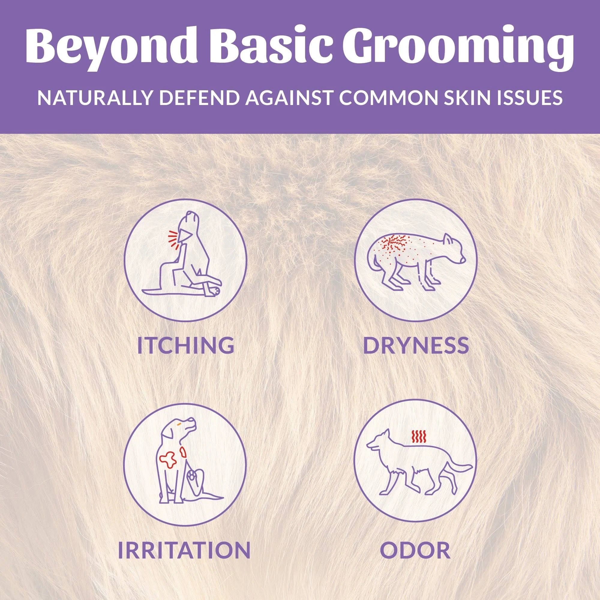 SKOUT'S HONOR DOG PROBIOTIC DEODORIZER HONEYSUCKLE 8OZ