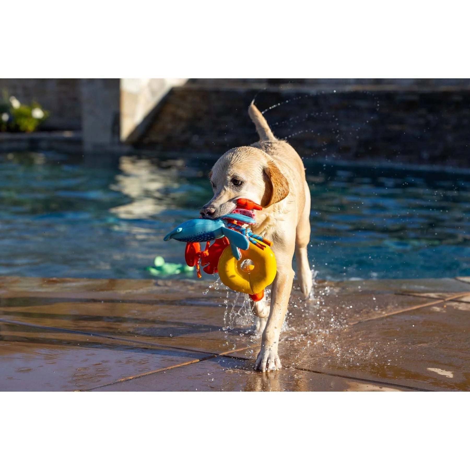 FABDOG DOG FLOATIE DUCK
