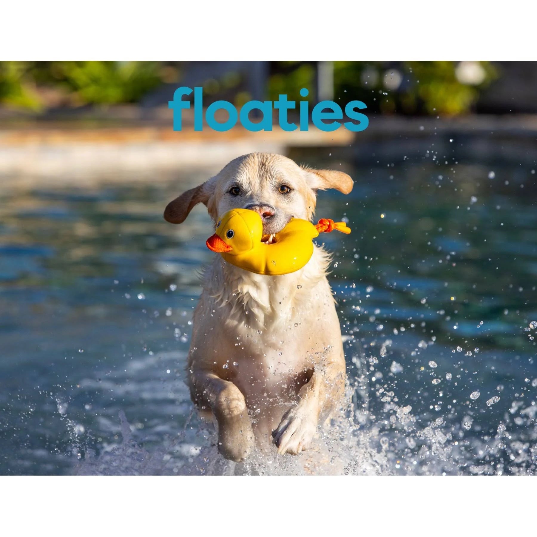 FABDOG DOG FLOATIE DUCK