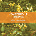 Load image into Gallery viewer, SKOUT'S HONOR DOG PROBIOTIC DEODORIZER HONEYSUCKLE 8OZ
