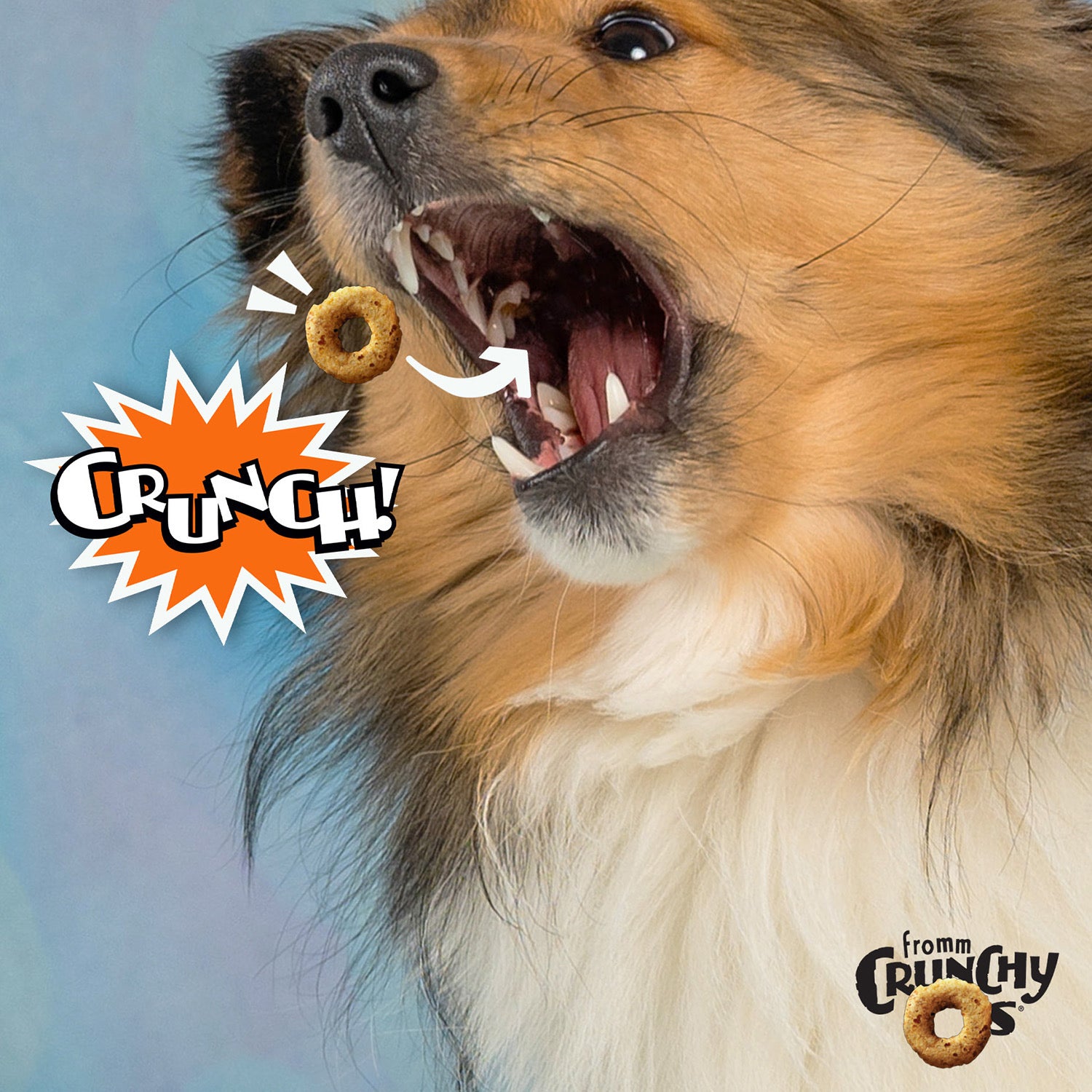 Crunchy Os Peanut Butter Jammers™ Flavor Dog Treats