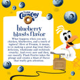 Load image into Gallery viewer, Advertisement for Fromm Crunchy Os dog treats with a cartoon duck character and blueberries on a yellow background.
