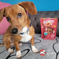 Load image into Gallery viewer, FROMM DOG CRUNCHY O'S POTROAST PUNCHER 6OZ
