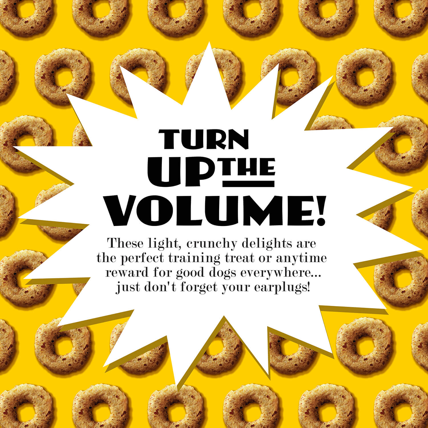 Dog treats with a 'Turn Up the Volume!' in Damascus Virginia