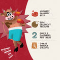 Load image into Gallery viewer, FROMM DOG CRUNCHY O'S POTROAST PUNCHER 6OZ
