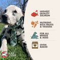 Load image into Gallery viewer, Dog sitting on grass with a product label about salmon, fruits, vegetables, and oven-baked items.
