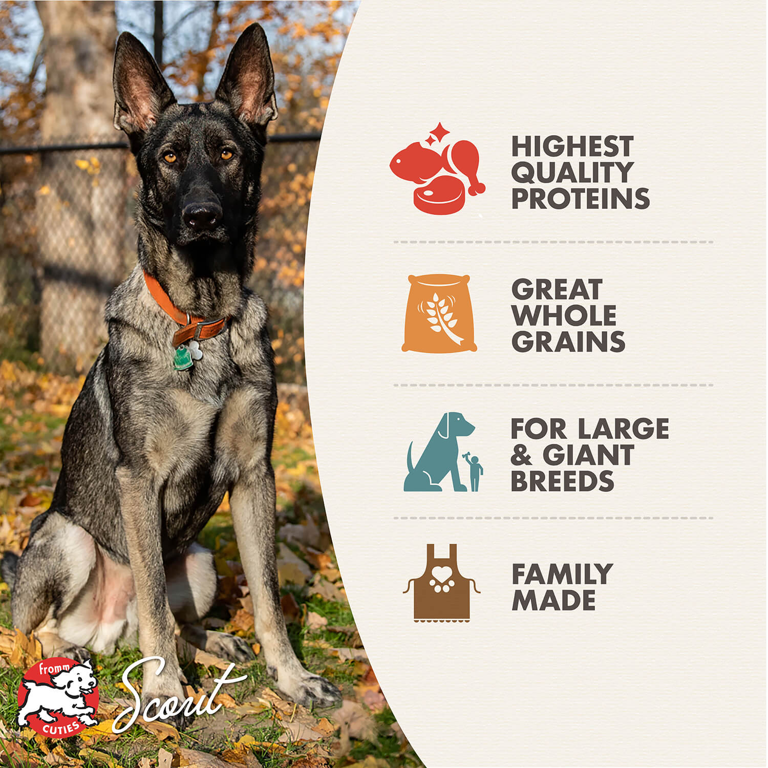 FROMM DOG GOLD LARGE BREED ADULT 30LBS