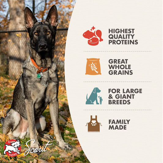 FROMM DOG GOLD LARGE BREED ADULT 30LBS