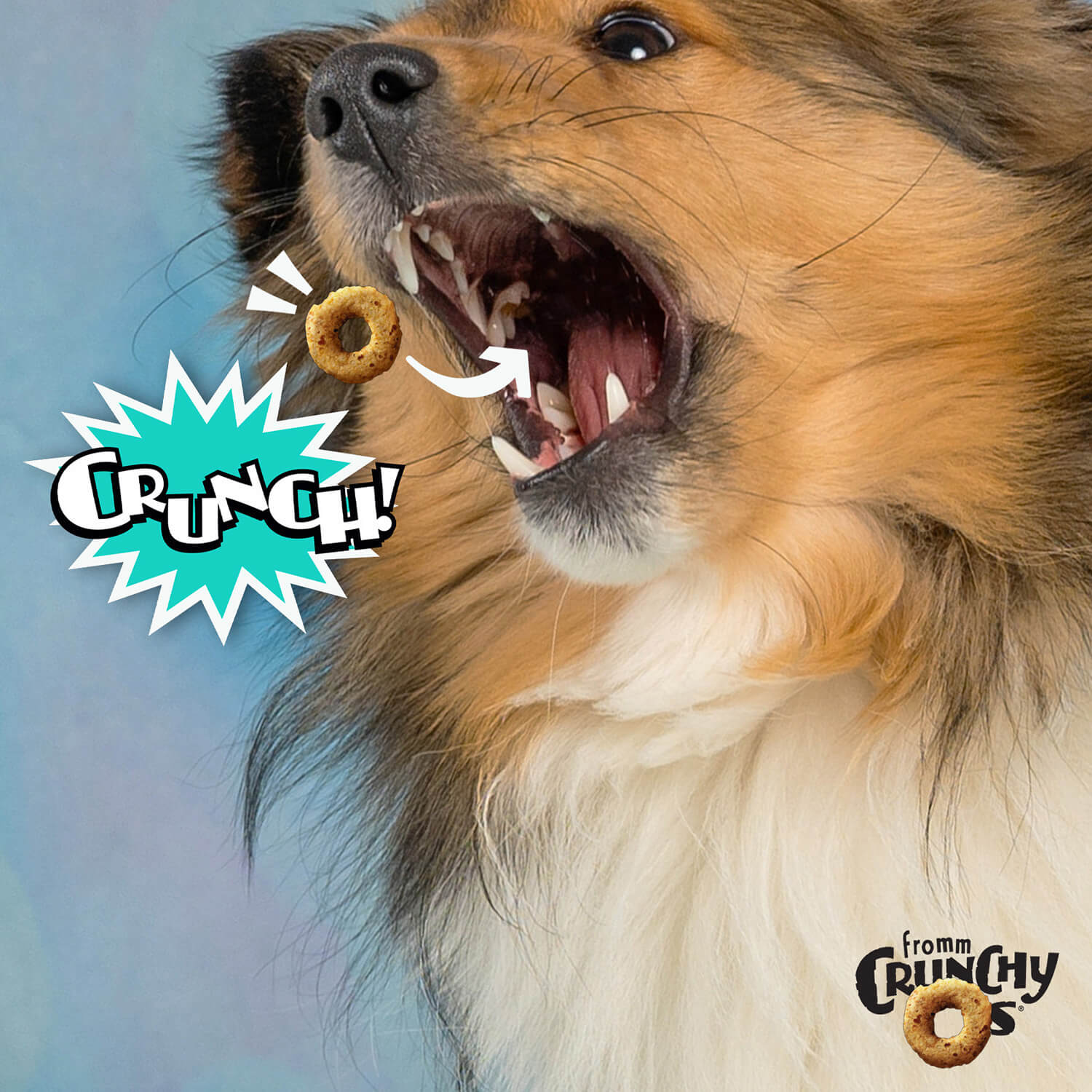 Dog with an open mouth, a crinkled piece of cereal, and 'CRUNCH!' in Damascus Virginia