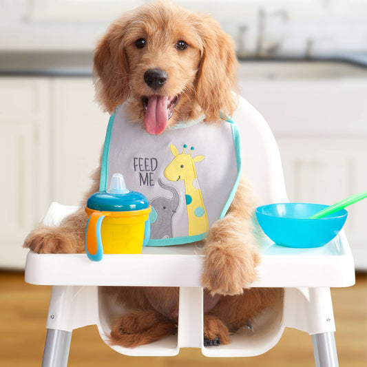 FROMM DOG HEARTLAND GOLD GRAIN FREE LARGE BREED PUPPY 26LBS