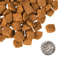 Load image into Gallery viewer, Fromm Four Star Chicken A La Veg Grain Inclusive Recipe Dry Dog Food 12lb
