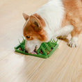 Load image into Gallery viewer, Tall Tails Foraging Mat - Grassy Meadow
