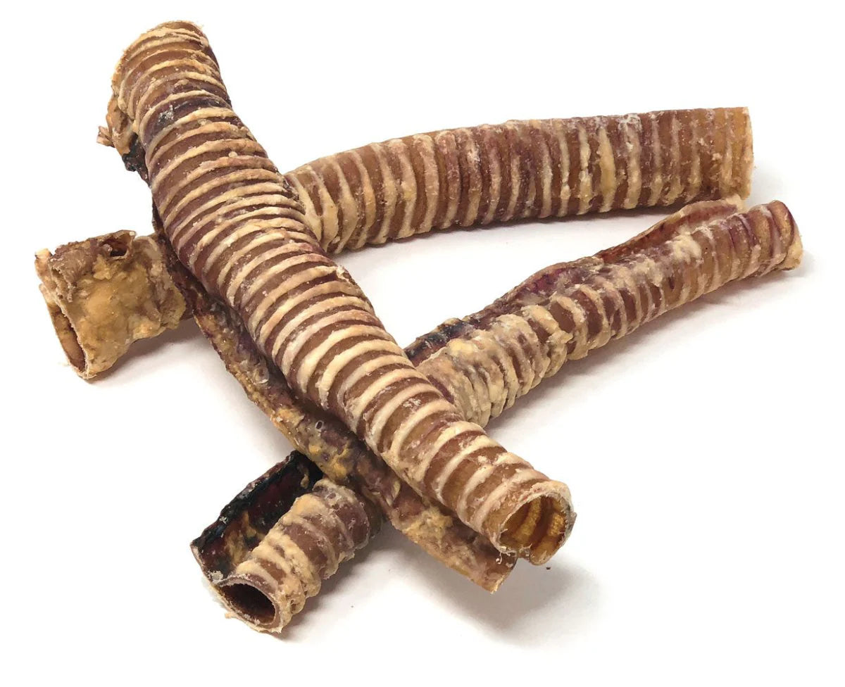 Beef Trachea - long