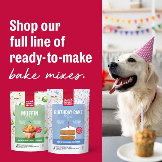 THE HONEST KITCHEN DOG BIRTHDAY CAKE MIX MADE WITH CHICKEN & BLUEBERRIES 7.5 OZ POUCH